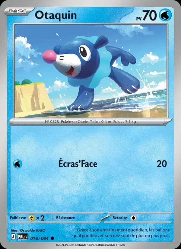 Otaquin — Nuit Noire 18 French Pokémon card