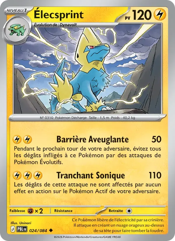 Élecsprint — Nuit Noire 24 French Pokémon card
