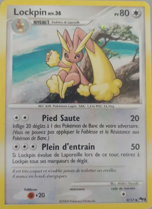 Lockpin — POP Série 9 9 French Pokémon card