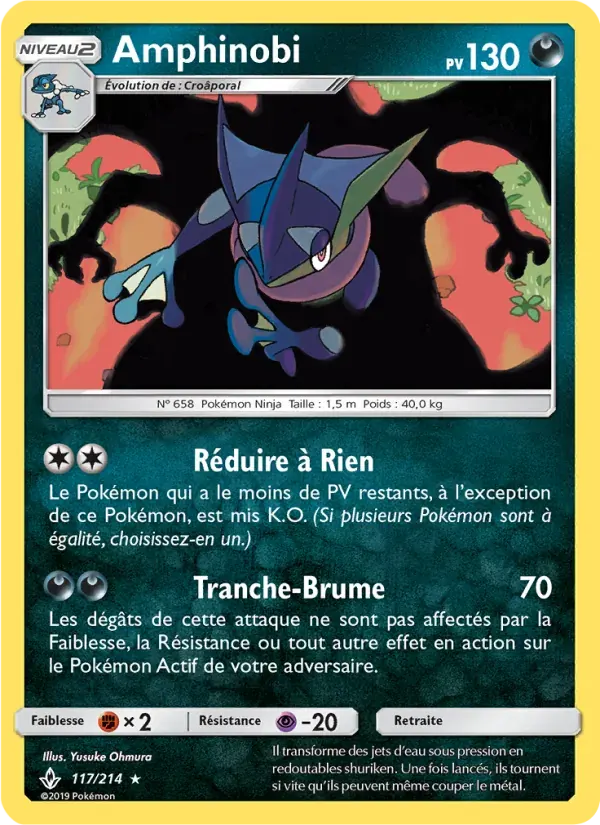 Amphinobi — Alliance Infaillible 117 French Pokémon card