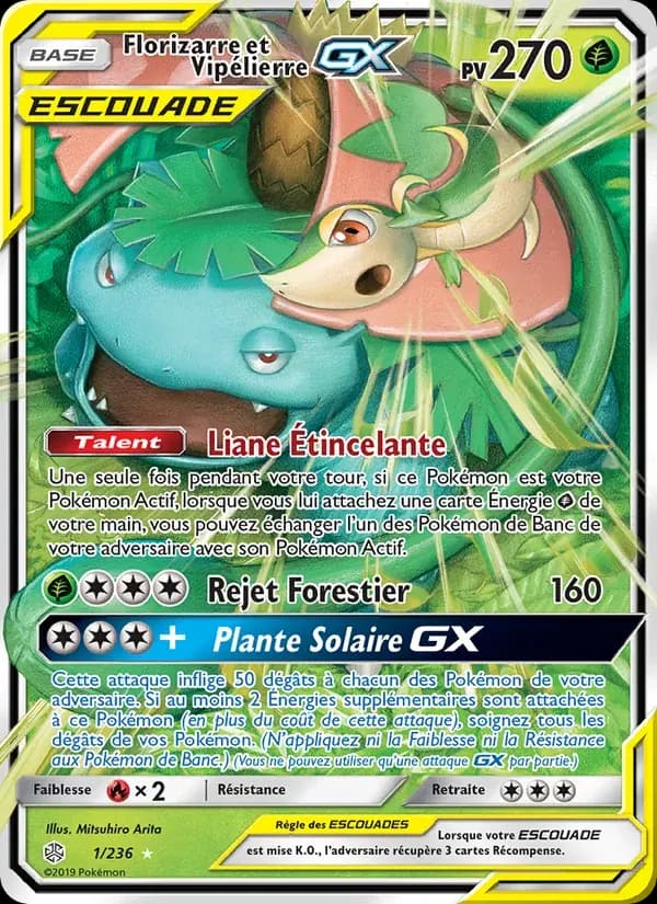 Florizarre et Vipélierre GX — Éclipse Cosmique 1 French Pokémon card