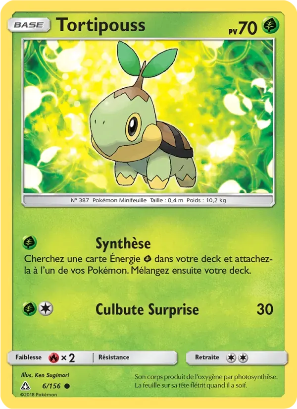 Tortipouss — Ultra-Prisme 6 French Pokémon card