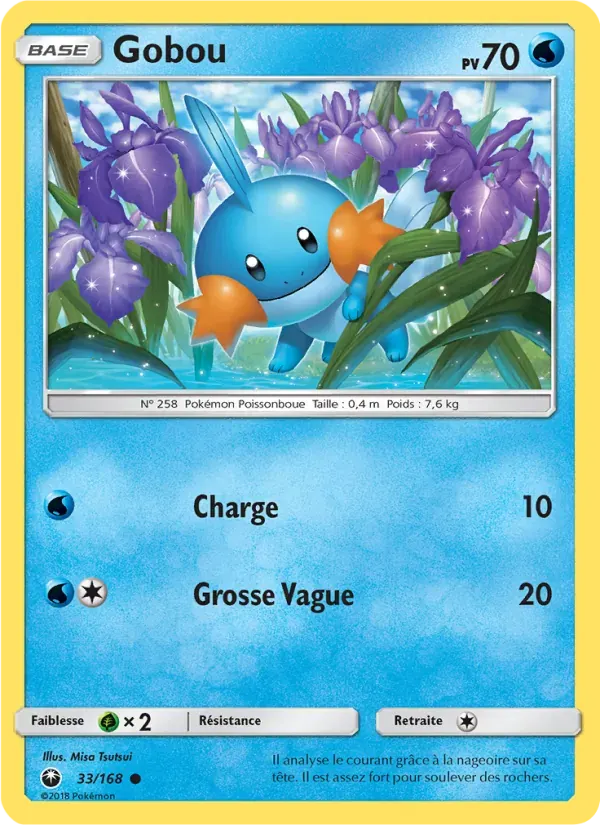 Gobou — Tempête Céleste 33 French Pokémon card