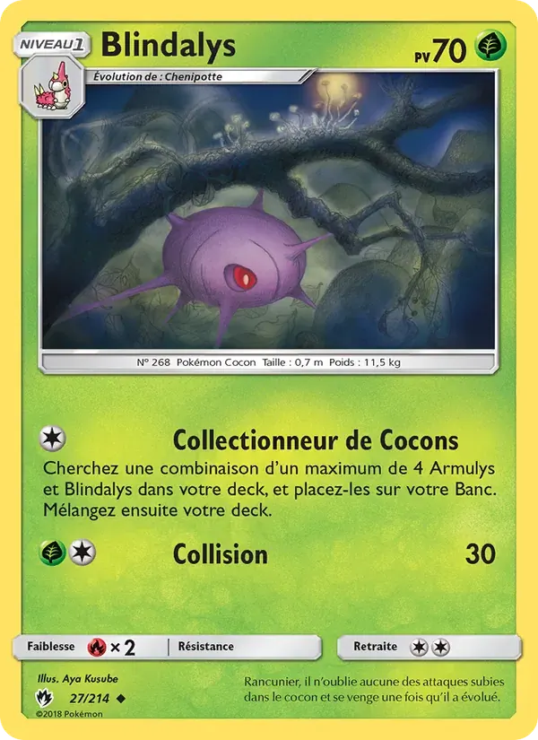 Blindalys — Tonnerre Perdu 27 French Pokémon card