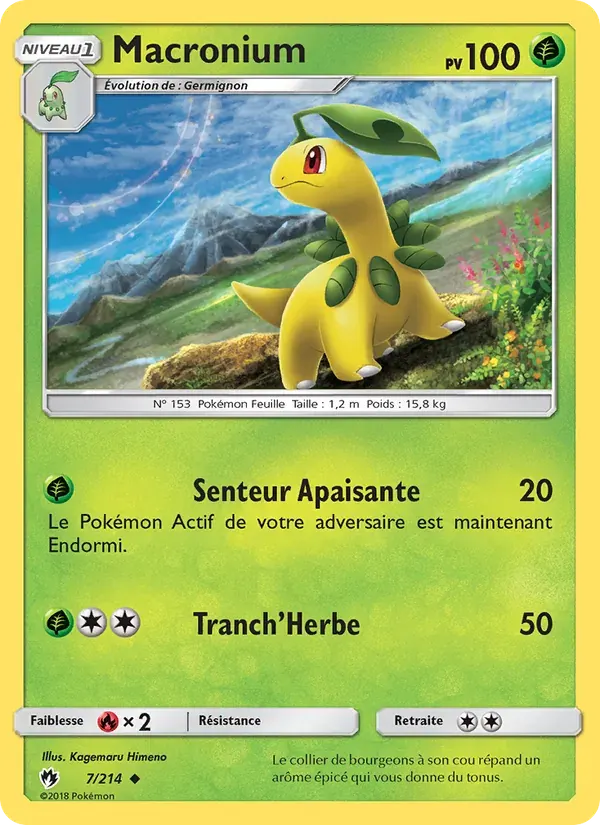 Macronium — Tonnerre Perdu 7 French Pokémon card