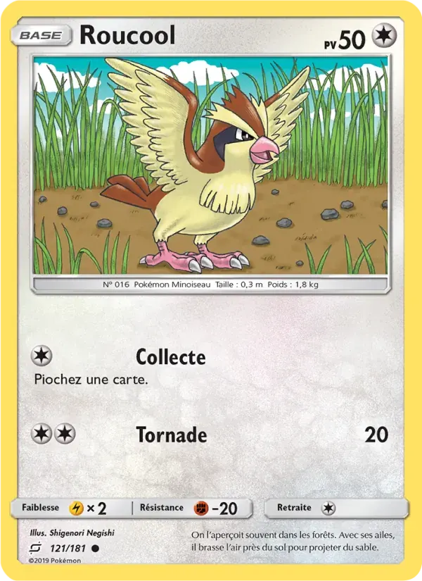 Roucool — Duo de Choc 121 French Pokémon card