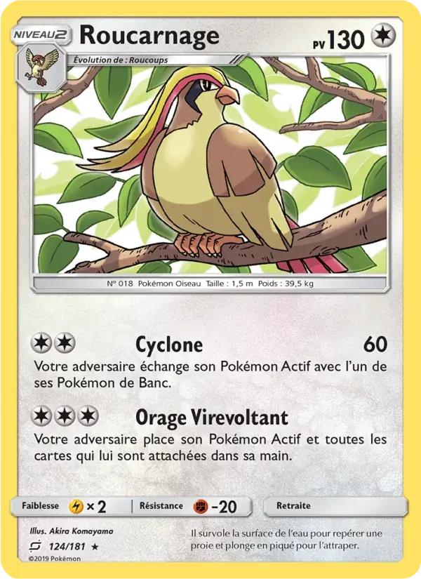 Roucarnage — Duo de Choc 124 French Pokémon card