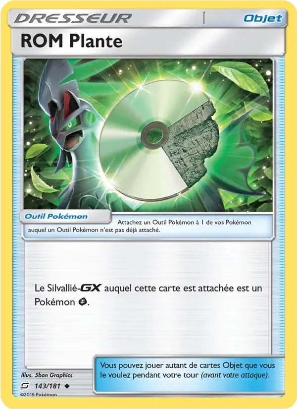 ROM Plante — Duo de Choc 143 French Pokémon card