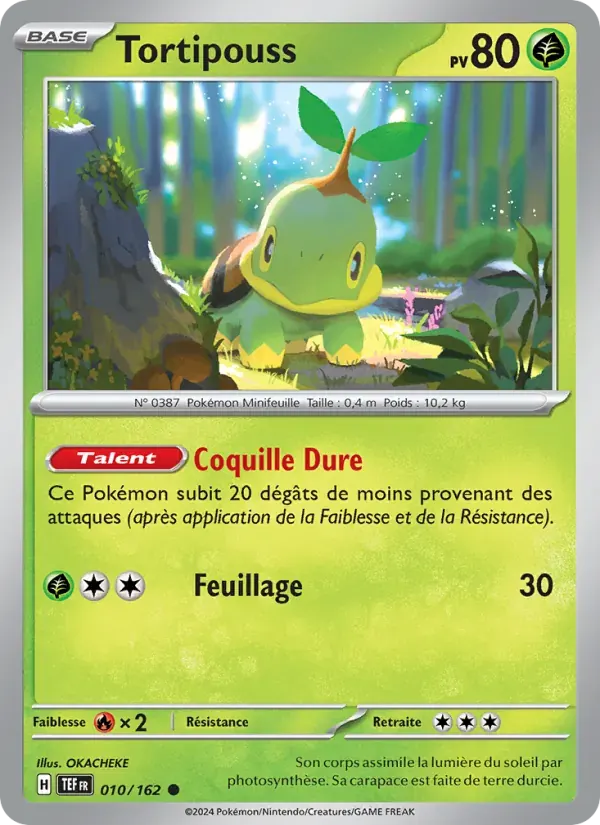 Tortipouss — Forces Temporelles 10 French Pokémon card