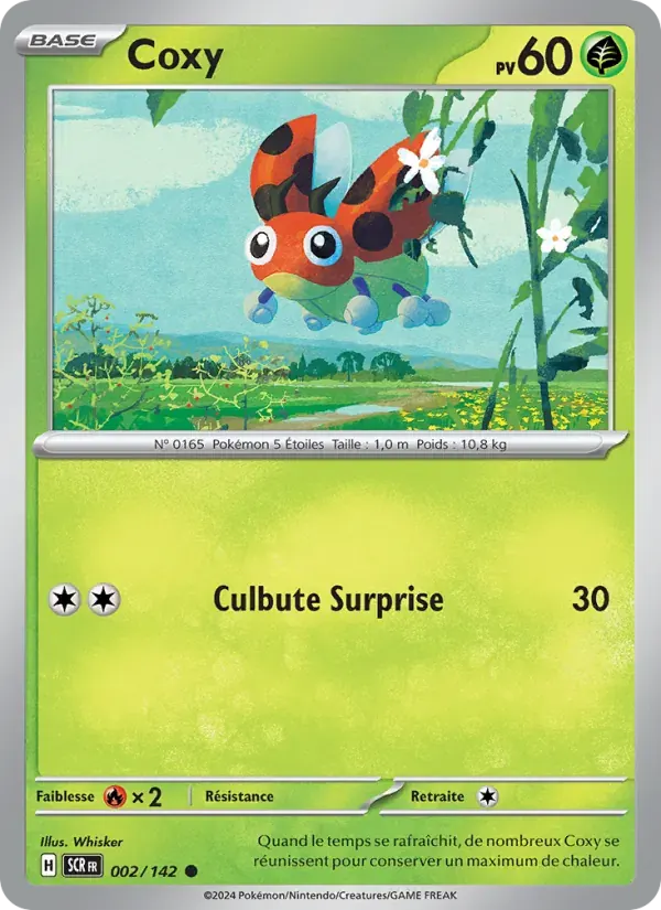 Coxy — Couronne Stellaire 2 French Pokémon card