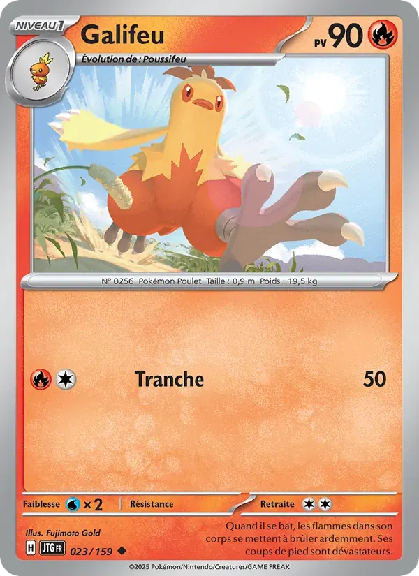 Galifeu — Aventures Ensemble 23 French Pokémon card