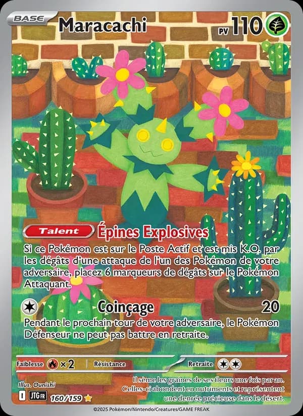 Maracachi — Aventures Ensemble 160 French Pokémon card