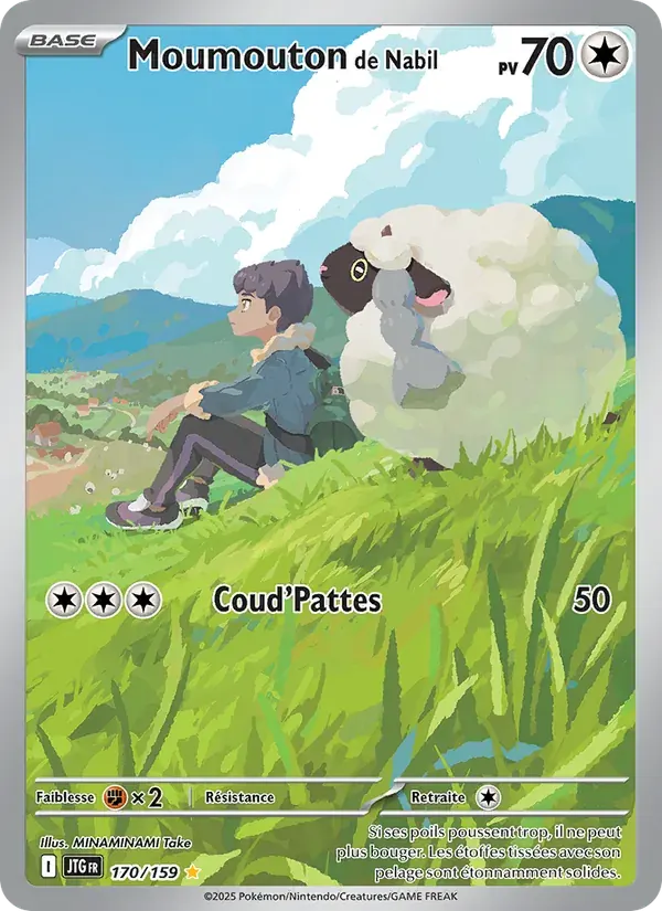 Moumouton de Nabil — Aventures Ensemble 170 French Pokémon card