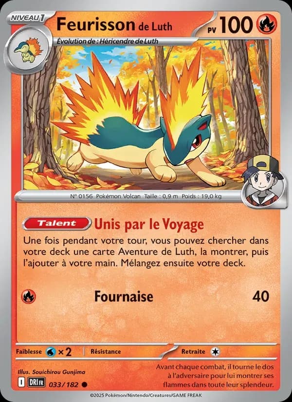Feurisson de Luth — Rivalités Destinées 33 French Pokémon card