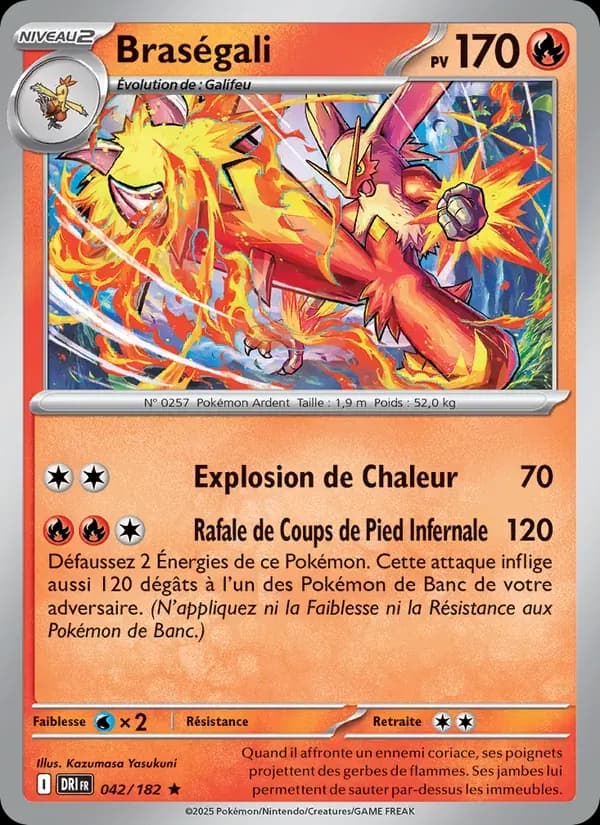 Braségali — Rivalités Destinées 42 French Pokémon card