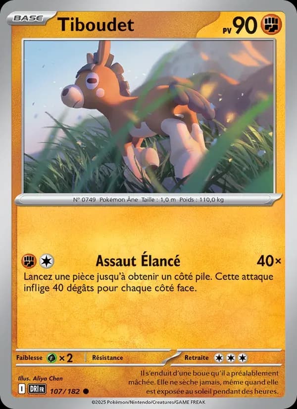 Tiboudet — Rivalités Destinées 107 French Pokémon card