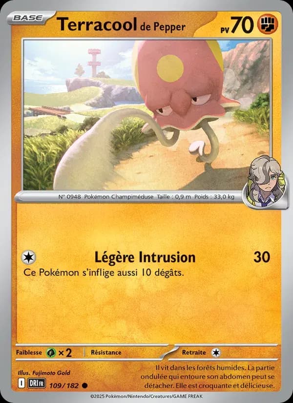 Terracool de Pepper — Rivalités Destinées 109 French Pokémon card