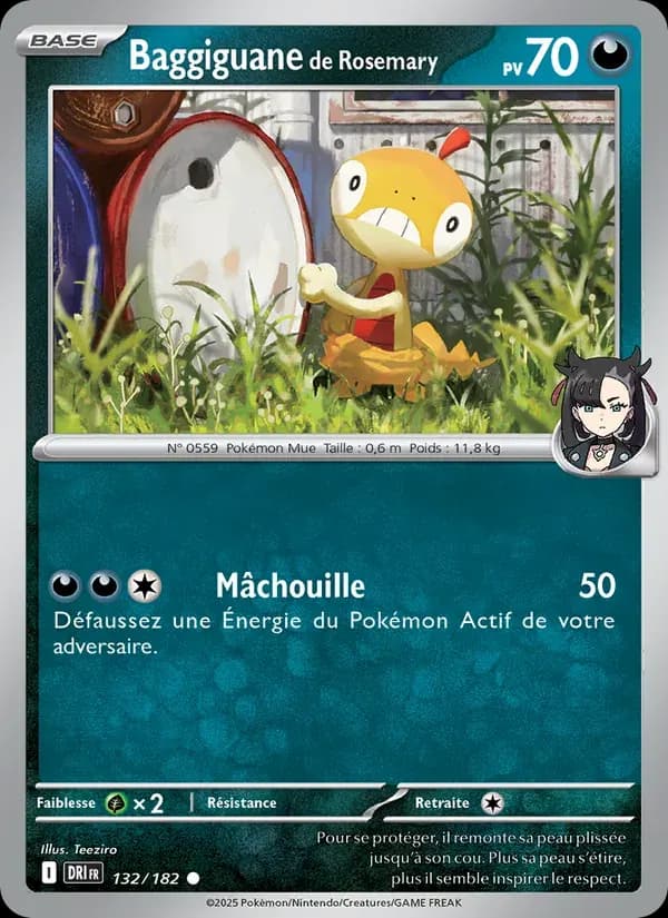 Baggiguane de Rosemary — Rivalités Destinées 132 French Pokémon card