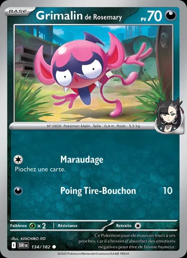 Grimalin de Rosemary — Rivalités Destinées 134 French Pokémon card