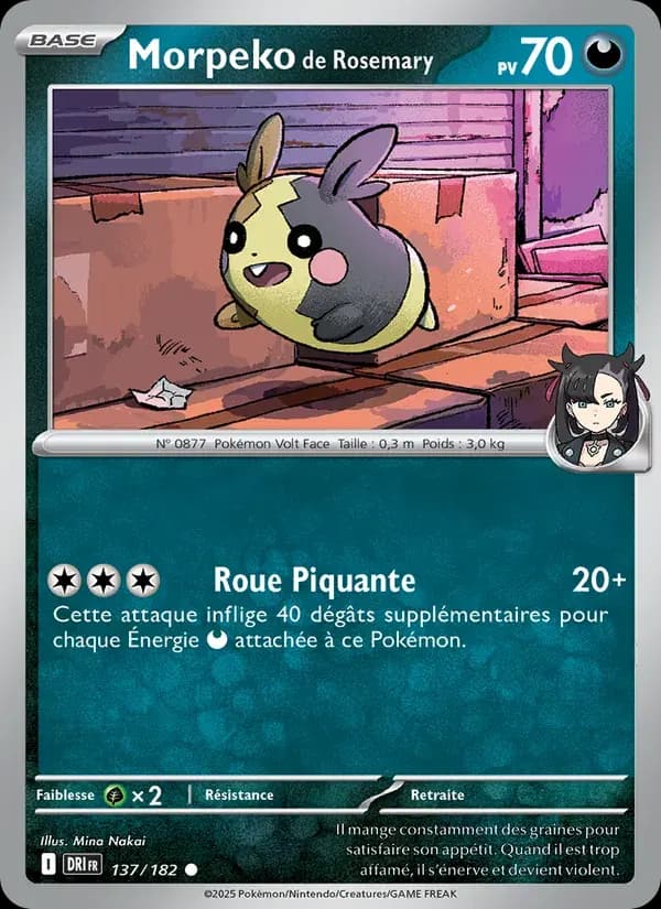 Morpeko de Rosemary — Rivalités Destinées 137 French Pokémon card