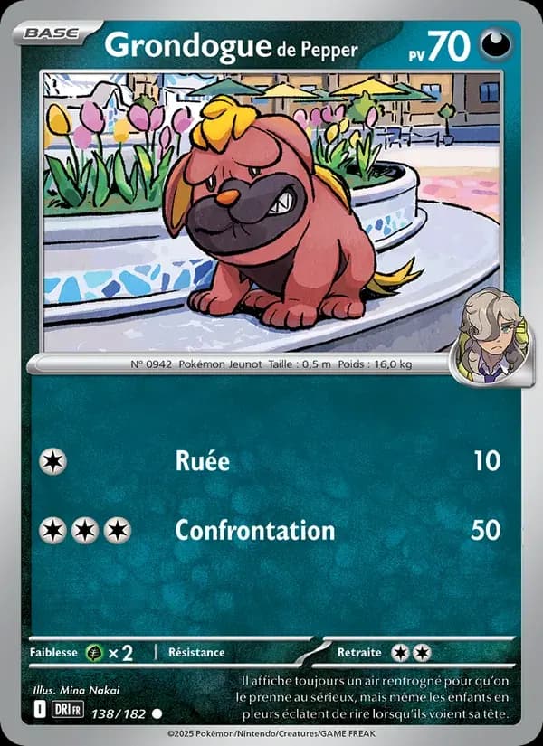 Grondogue de Pepper — Rivalités Destinées 138 French Pokémon card