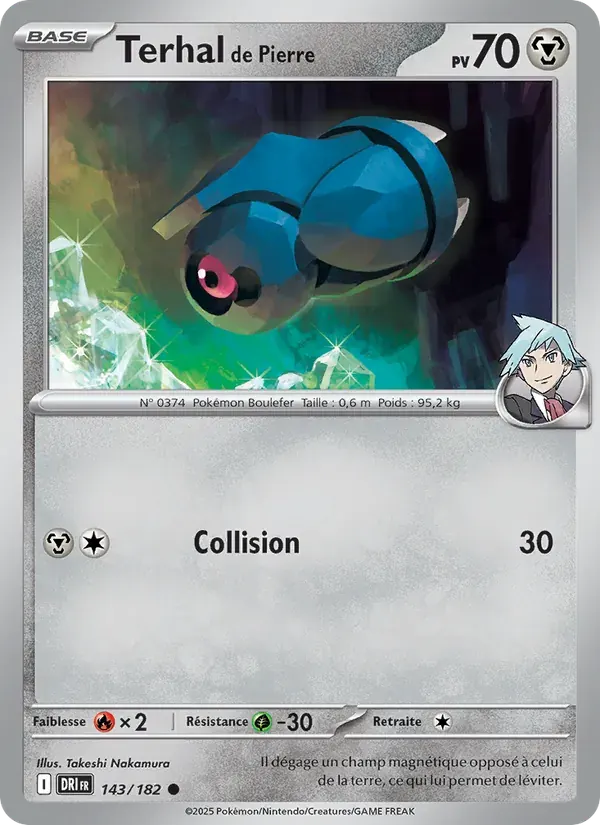 Terhal de Pierre — Rivalités Destinées 143 French Pokémon card