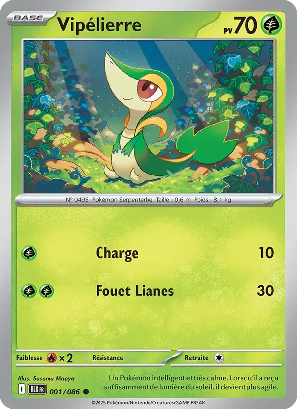 Vipélierre — Foudre Noire 1 French Pokémon card