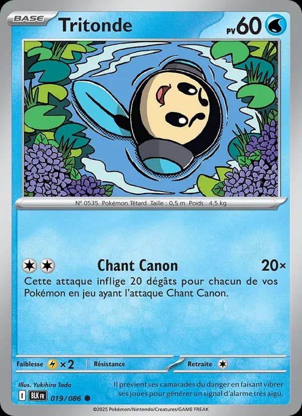 Tritonde — Foudre Noire 19 French Pokémon card