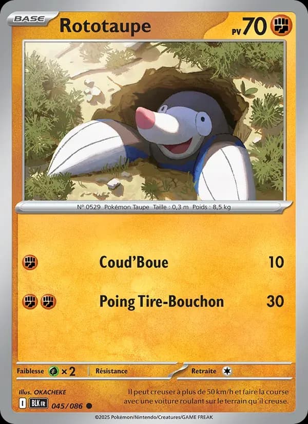 Rototaupe — Foudre Noire 45 French Pokémon card