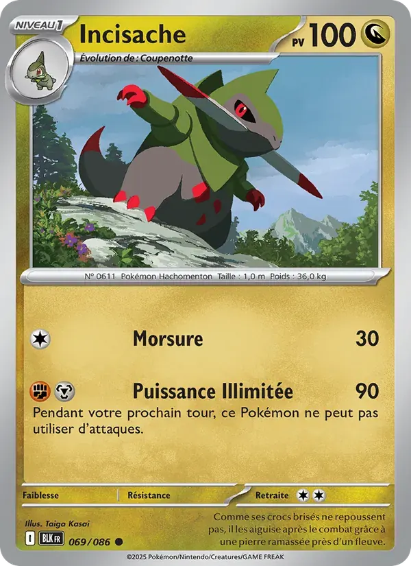 Incisache — Foudre Noire 69 French Pokémon card
