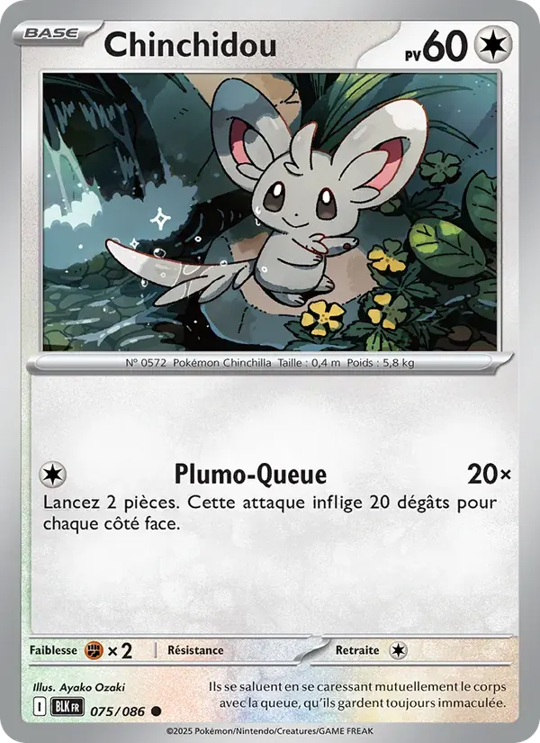 Chinchidou — Foudre Noire 75 French Pokémon card