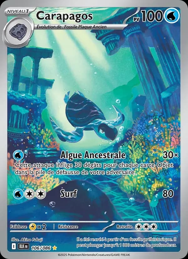 Carapagos — Foudre Noire 106 French Pokémon card