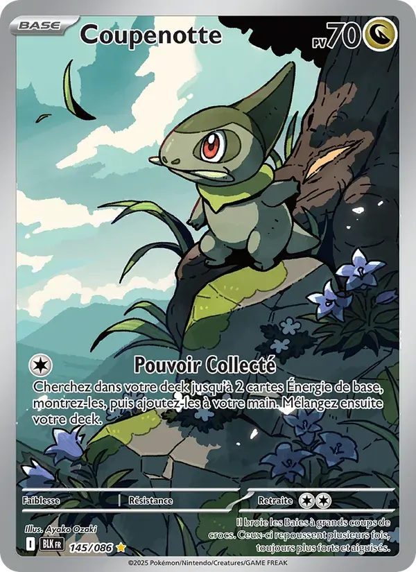 Coupenotte — Foudre Noire 145 French Pokémon card