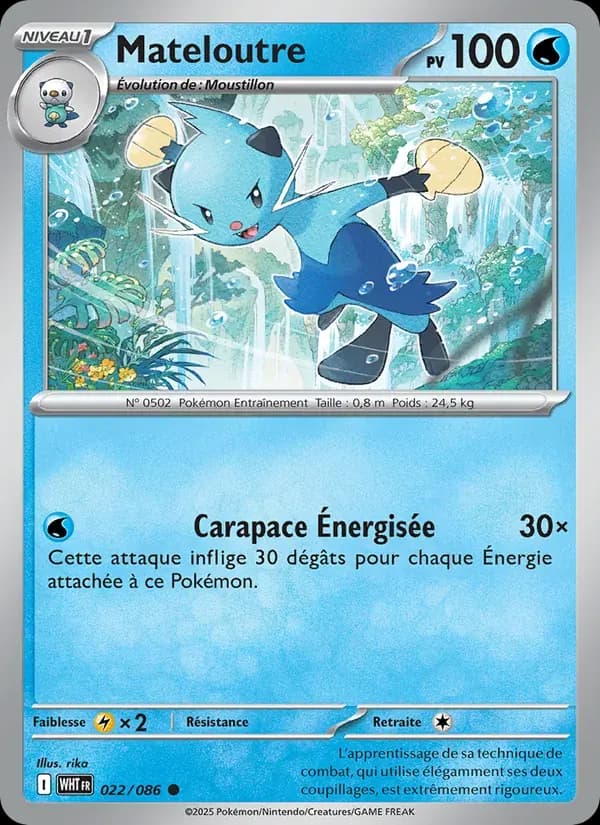 Mateloutre — Flamme Blanche 22 French Pokémon card