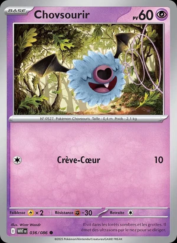 Chovsourir — Flamme Blanche 36 French Pokémon card