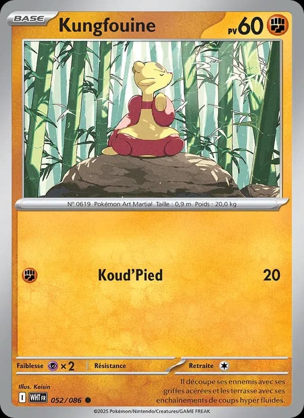 Kungfouine — Flamme Blanche 52 French Pokémon card