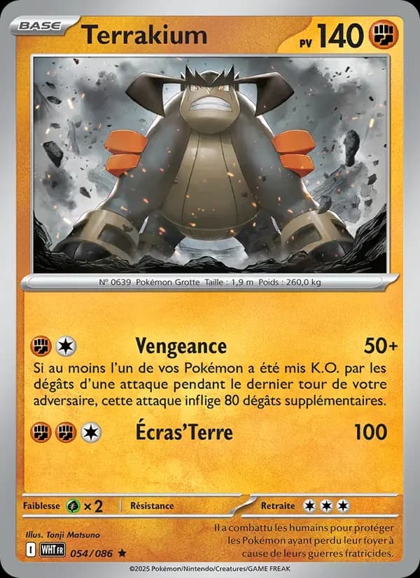 Terrakium — Flamme Blanche 54 French Pokémon card