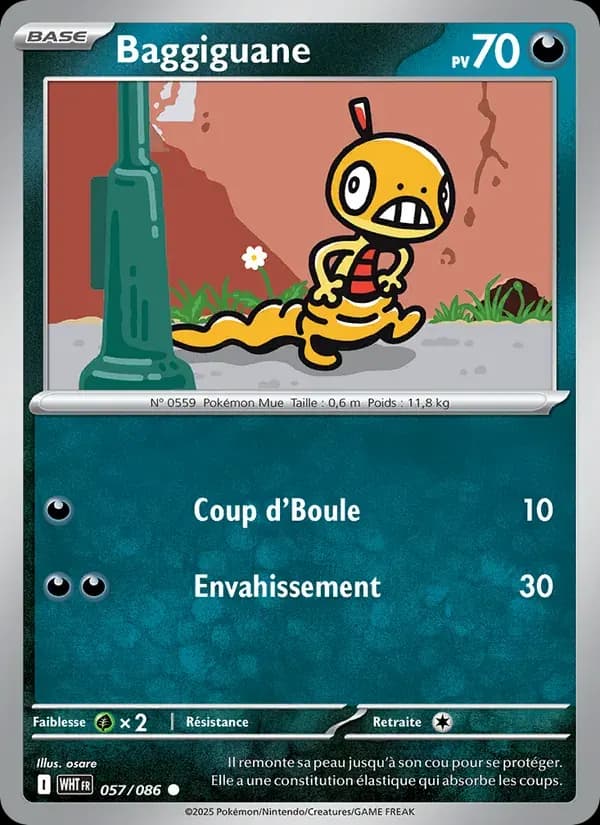 Baggiguane — Flamme Blanche 57 French Pokémon card