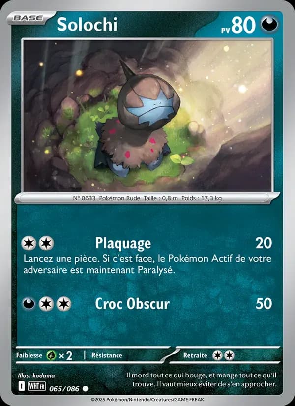 Solochi — Flamme Blanche 65 French Pokémon card