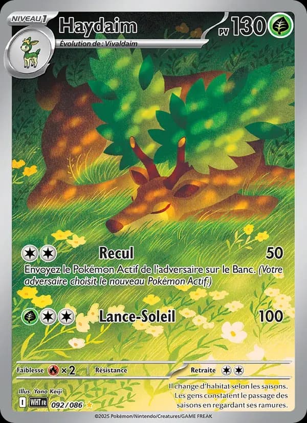 Haydaim — Flamme Blanche 92 French Pokémon card