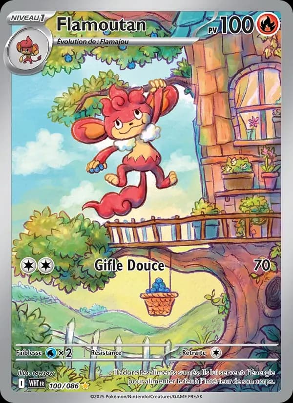 Flamoutan — Flamme Blanche 100 French Pokémon card