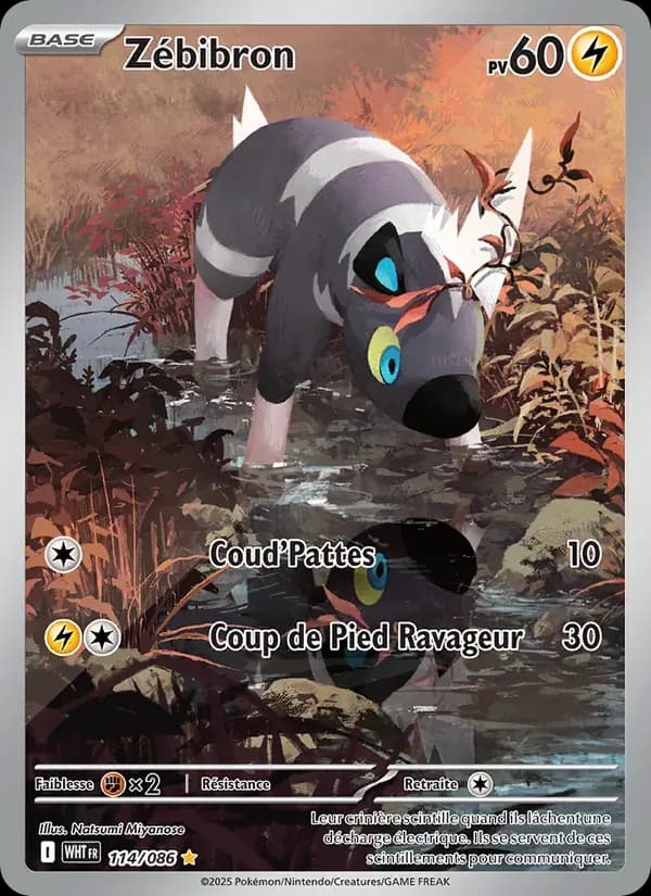Zébibron — Flamme Blanche 114 French Pokémon card