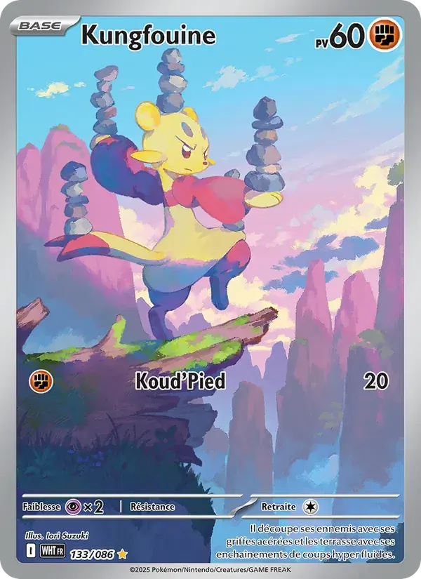 Kungfouine — Flamme Blanche 133 French Pokémon card