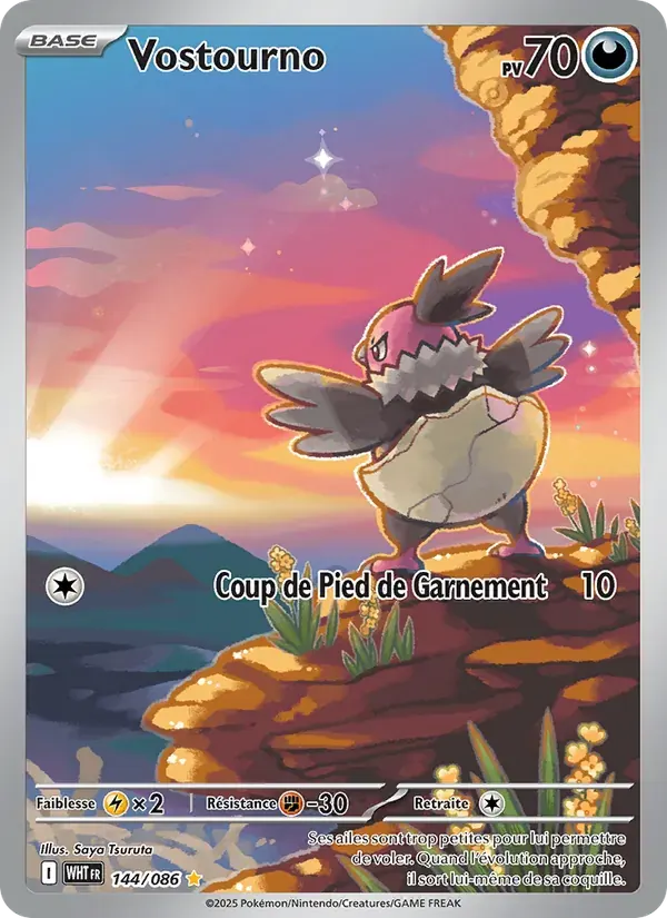 Vostourno — Flamme Blanche 144 French Pokémon card