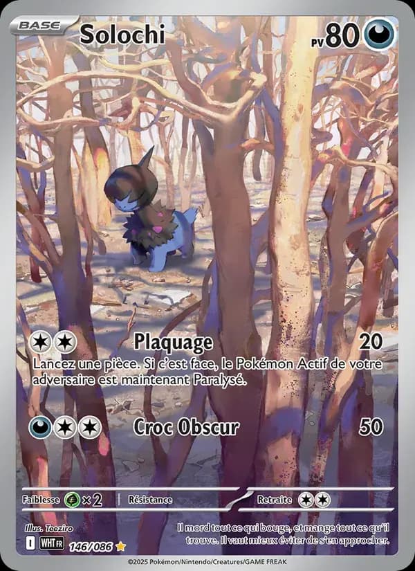 Solochi — Flamme Blanche 146 French Pokémon card