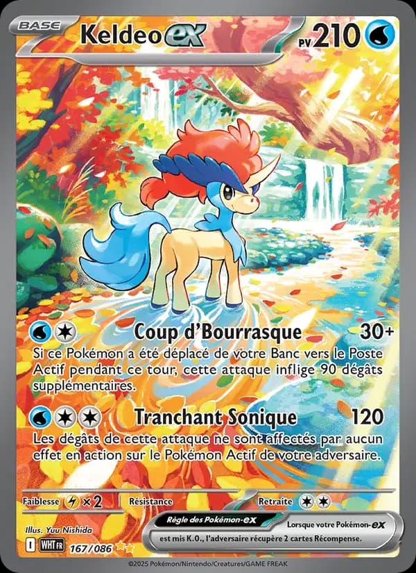 Keldeo-ex — Flamme Blanche 167 French Pokémon card