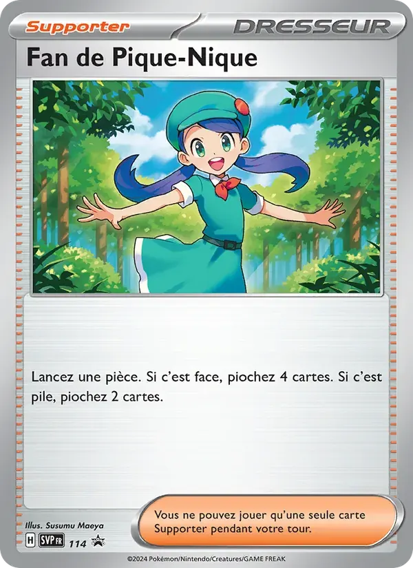 Fan de Pique-Nique — SVP Black Star Promos 114 French Pokémon card