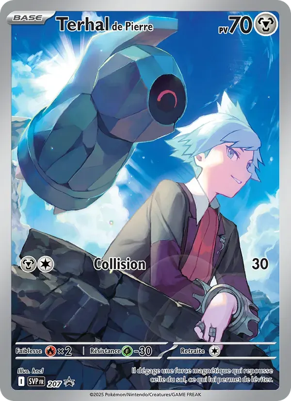 Terhal de Pierre — SVP Black Star Promos 207 French Pokémon card