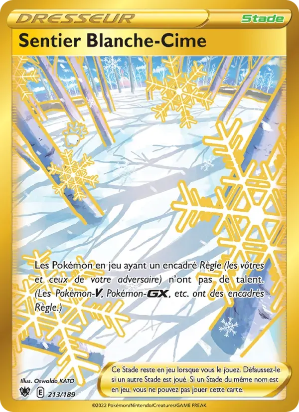 Sentier Blanche-Cime — Astres Radieux 213 French Pokémon card
