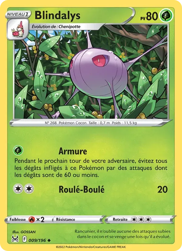 Blindalys — Origine Perdue 9 French Pokémon card